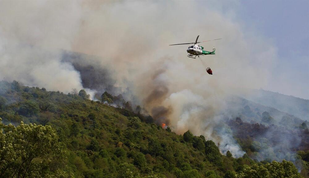 El fuego ha arrasado más de 100 hectáreas arrasadas