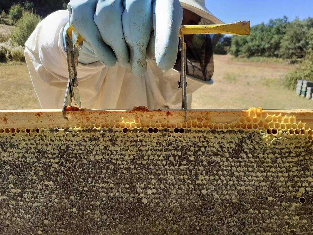 Moncalvillo Meadery dispone de 150 colmenas para la elaboración de miel e hidromiel