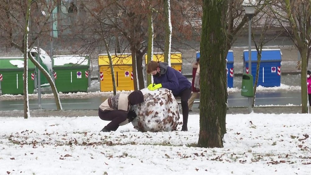 Los muñecos de nieve se han visto en numerosos parques de la ciudad