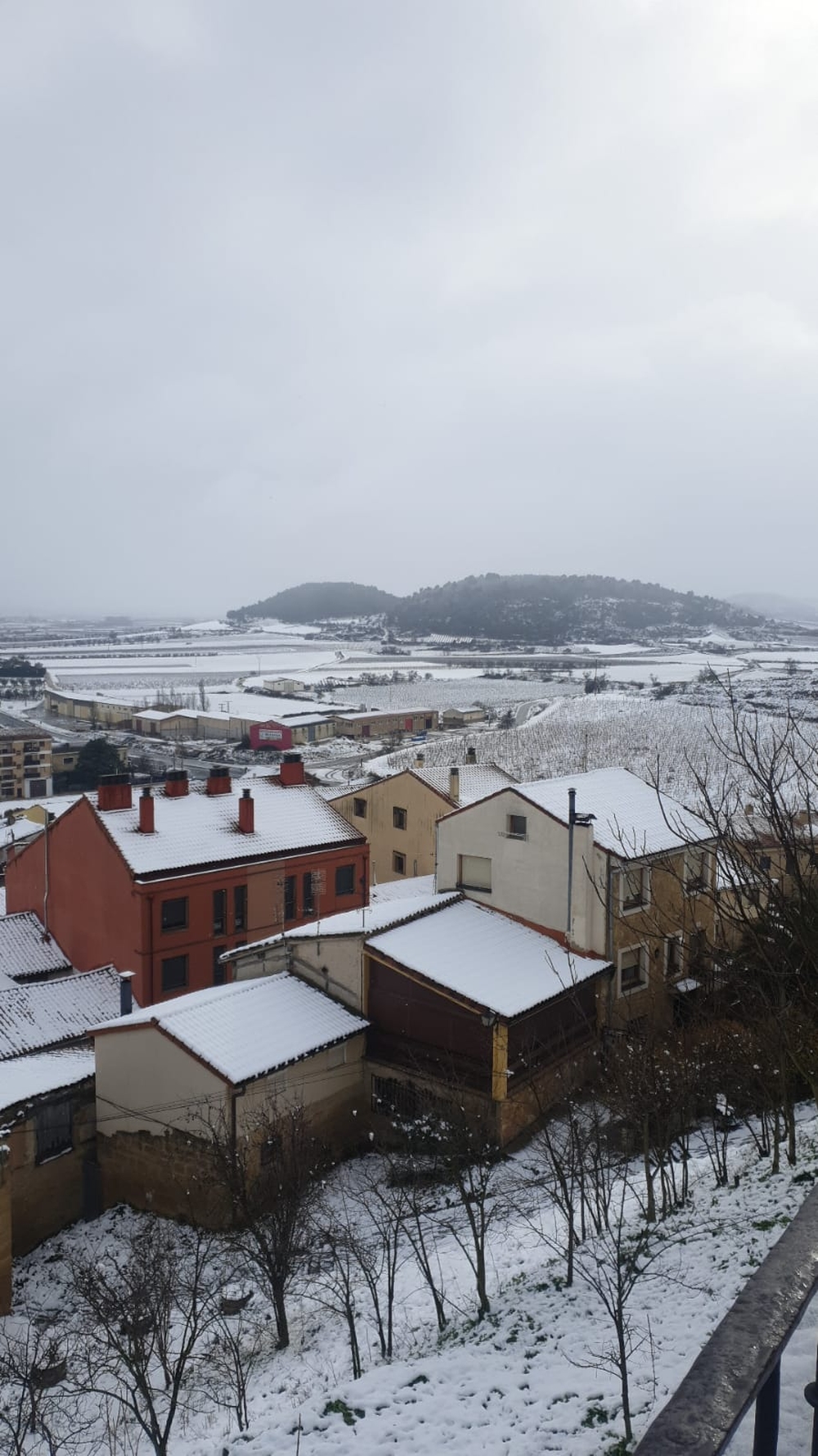 Primera nevada del 2021 en la ciudad de Logroño  / EL DÍA