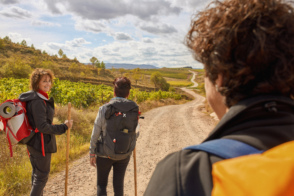 Un grupo de peregrinos camina por un paisaje de viñas a su paso por La Rioja.