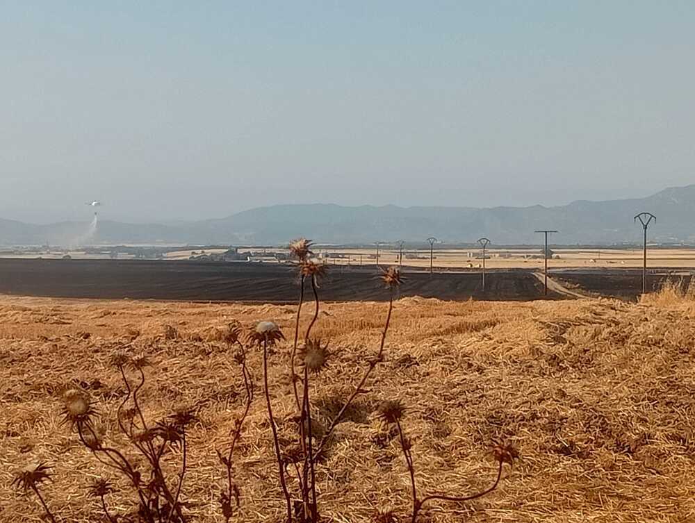 Imagen de la zona quemada entre Cirueña y Hervías. Al, fondo, a la izquierda, un helicópero del operativo contra incendios descarga agua.
