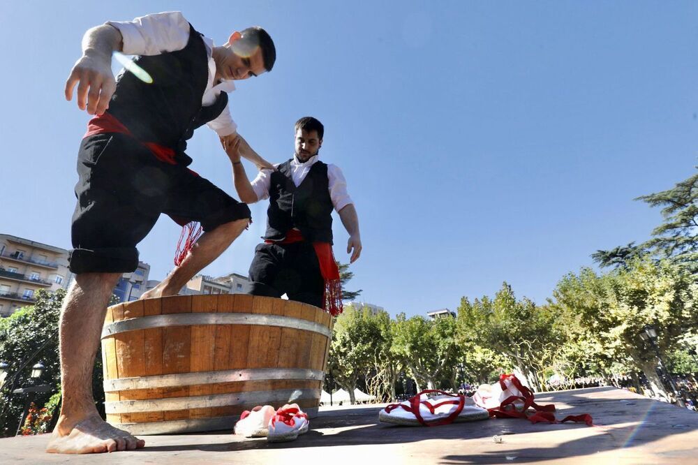 Los pisadores cumplen el ritual en el día de la fiesta de la Vendimia Riojana. 