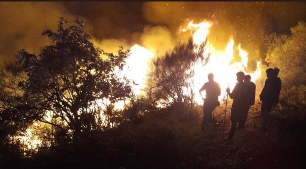Los servicios de extinción de incendios trabajan para controlar el fuego en Azárrulla