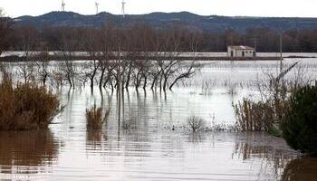 El Ebro inunda choperas y campos de cultivo en Alfaro