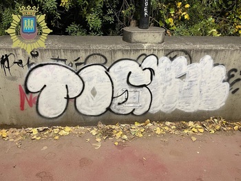 La Policía Local de Logroño perseguirá los grafitis