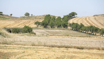 Ayudas de 2 millones de euros para explotaciones agrarias