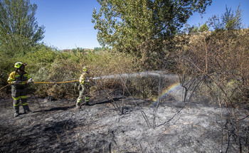 El Parlamento pide mejores dotaciones para sofocar incendios
