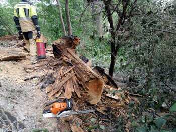 Los bomberos rematan los restos del incendio junto al Ebro