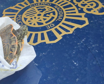 Identificado el varón que abandonó una tortuga en Logroño