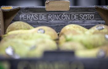 La cosecha de Peras de Rincón roza los 21 millones de kilos