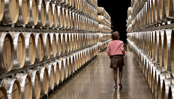 Inversores de Latinoamérica se fijan en las bodegas de Rioja