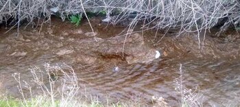Ecologistas alerta de un vertido de aguas fecales en Haro