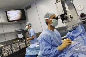 España logra realizar 48 transplantes en 24 horas