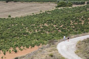 Rioja celebra el punto de inflexión en protección del paisaje
